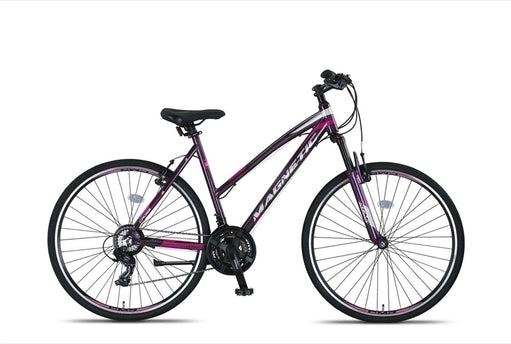 Magnetic 28 Inch Dames 21V V-Brakes
