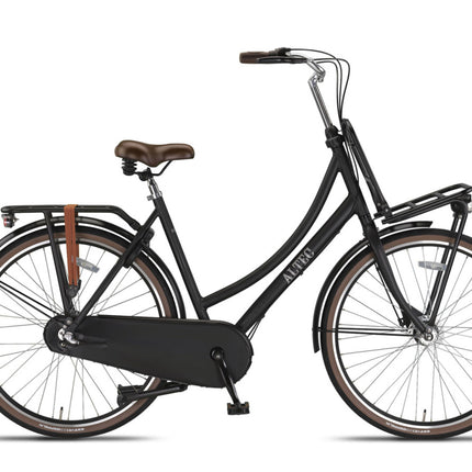 Retro 28 Inch Dames 3V Rollerbrake