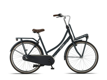 Vintage 28 Inch Dames 3V Terugtraprem