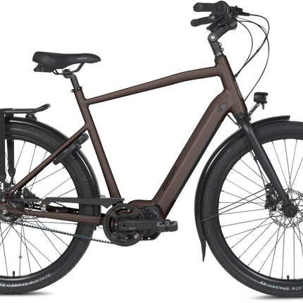 Collection image for: BSP Elektrische fietsen
