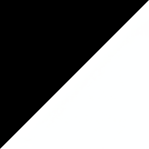 Zwart/wit