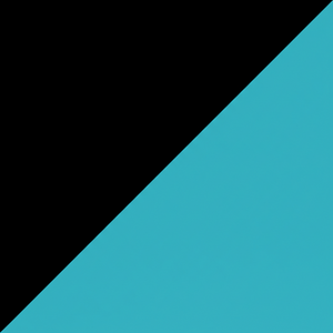 Zwart/turquoise