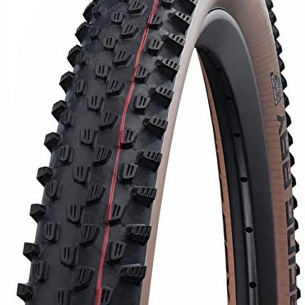 Racing Ray TLE Addix Buitenband 29 x 2.35 (60-622) Zwart